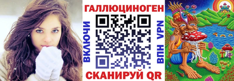 Псилоцибиновые грибы Psilocybine cubensis Истра
